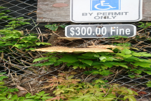 Ein Holzschild an einem Zaun mit der Aufschrift "Nur mit Erlaubnis" und einem Pilz darauf, mit etwas Grün im Hintergrund.