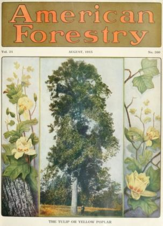 Ein Buchumschlag mit der Aufschrift "American Forestry Magazine, August 1915" und farbenfrohen Illustrationen von Bäumen, Blumen und Laub.