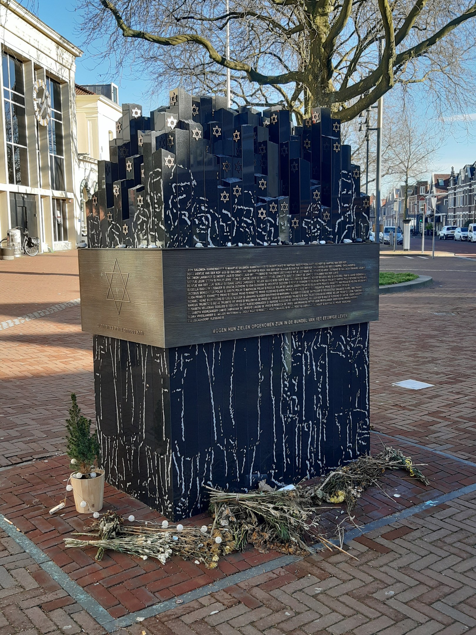 Denkmal in einem Stadtplatz, das an Holocaust-Opfer erinnert, mit einem Baum davor, einem Topfgewächshaus auf dem Boden, verstreuten trockenen Blättern und im Hintergrund Gebäude, Fahrzeuge und Bäume.