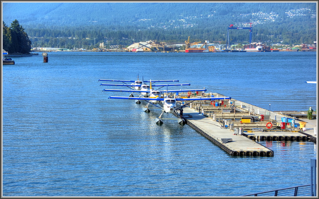 Flugzeuge schweben auf Wasser mit Bäumen und Gebäuden im Hintergrund.
