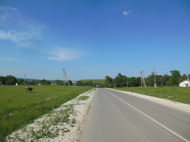 Eine Kuh grast am Straßenrand einer Landstraße, umgeben von Gras, Steinen, Pfählen, Drähten, Häusern, Bäumen und einem bewölkten Himmel.