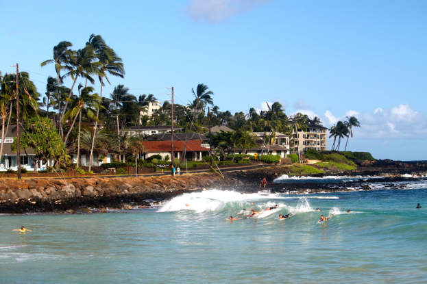 Menschen schwimmen in einem Gewässer umgeben von Steinen, Pflanzen, Gras und Bäumen mit Gebäuden und Laternenmasten im Hintergrund bei klarem Himmel.