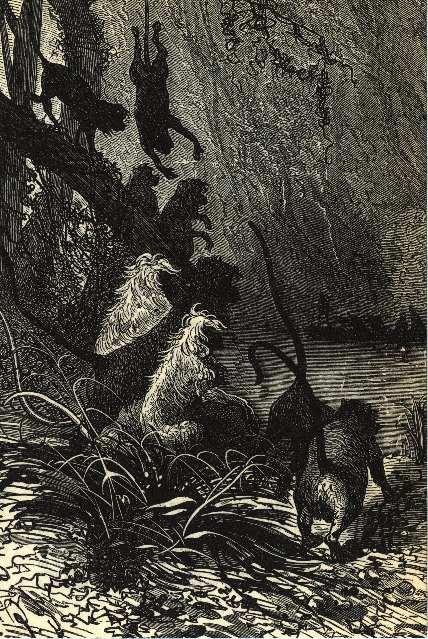 Schwarze und weiße Illustration einer Gruppe von Löwen in einer Dschungelumgebung mit üppiger Vegetation und Bäumen, die den Text 'Der König der Löwen' am unteren Rand zeigt.