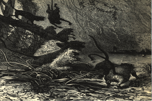 Schwarze und weiße Illustration einer Gruppe von Löwen in einer Dschungelumgebung mit üppiger Vegetation und Bäumen, die den Text 'Der König der Löwen' am unteren Rand zeigt.