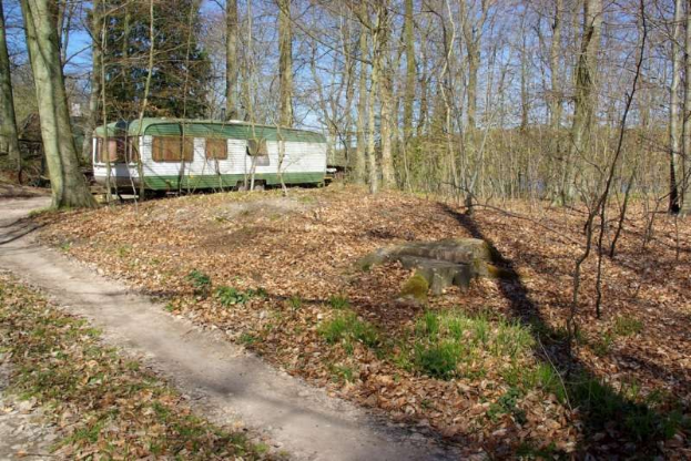 Alter Wohnwagen in einem bewaldeten Gebiet mit Bäumen, Pflanzen und trockenen Blättern auf dem Boden geparkt, unter einem sichtbaren Himmel.