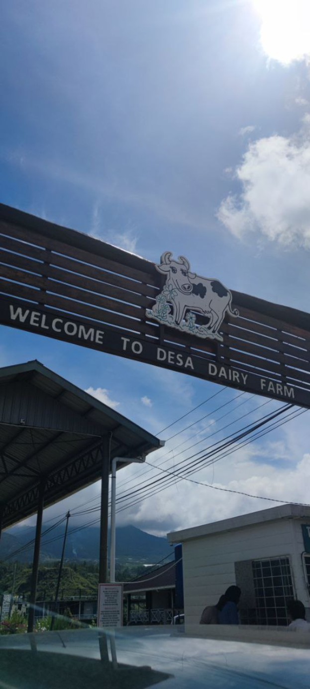 Einladendes Schild am Eingang eines Milchhofs mit einem Schuppen links, einer Tafel mit einem Kuhbild und Text sowie einigen Personen im Vordergrund, mit Bäumen, Bergen und Wolken im Hintergrund.