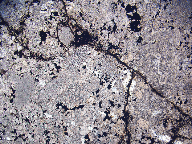 Nahaufnahme einer Betonoberfläche mit einem sichtbaren Riss und verstreuten kleinen Steinen.