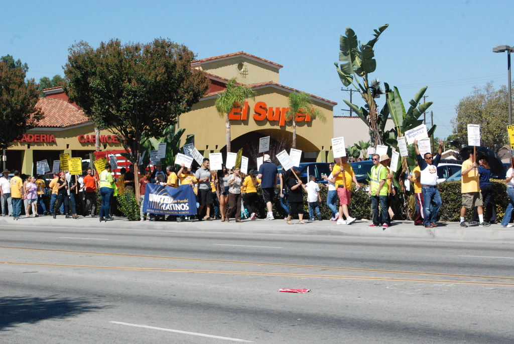 Eine Gruppe von Menschen mit Schildern marschiert eine Straße mit Bäumen, Büschen und Gebäuden mit Namensschildern entlang, mit Autos und einer Fahne im Hintergrund.