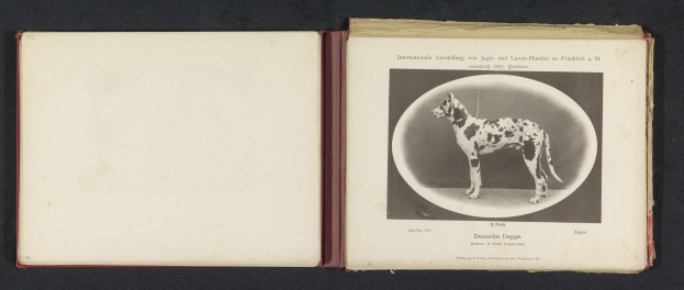 Schwarzes und weißes Foto eines Hundes auf dem Cover eines aufgeschlagenen Buches mit dem Titel "Internationale Ausstellung von Jagd- und Luxus-Hunden zu Frankfurt a.M." mit sichtbarem Text und Bildmaterial im Inneren.