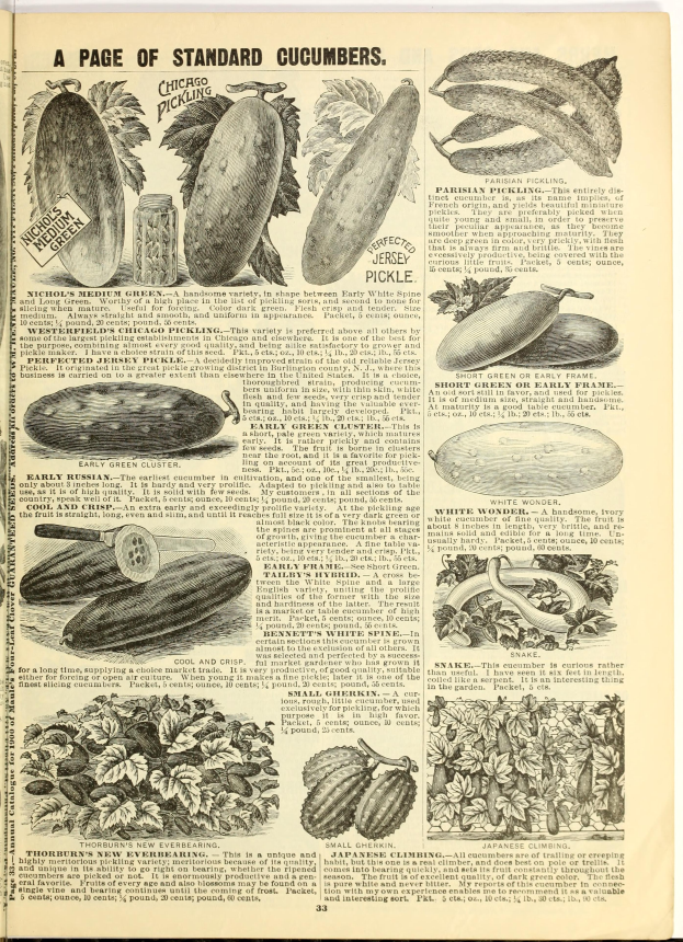 Ein aufgeschlagenes Buch mit Bildern und Texten über verschiedene Gemüse, darunter Gurken, mit tatsächlichen Gemüsen darauf.