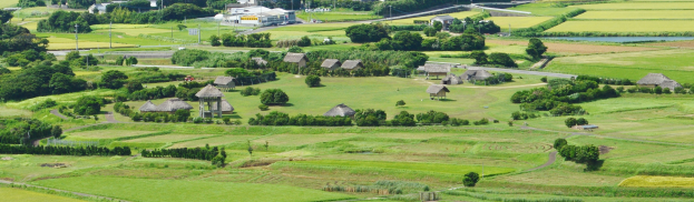 Ein kleines Dorf umgeben von Grün, Bäumen, Pflanzen, Häusern, Straßen, Strommasten und Wasser.