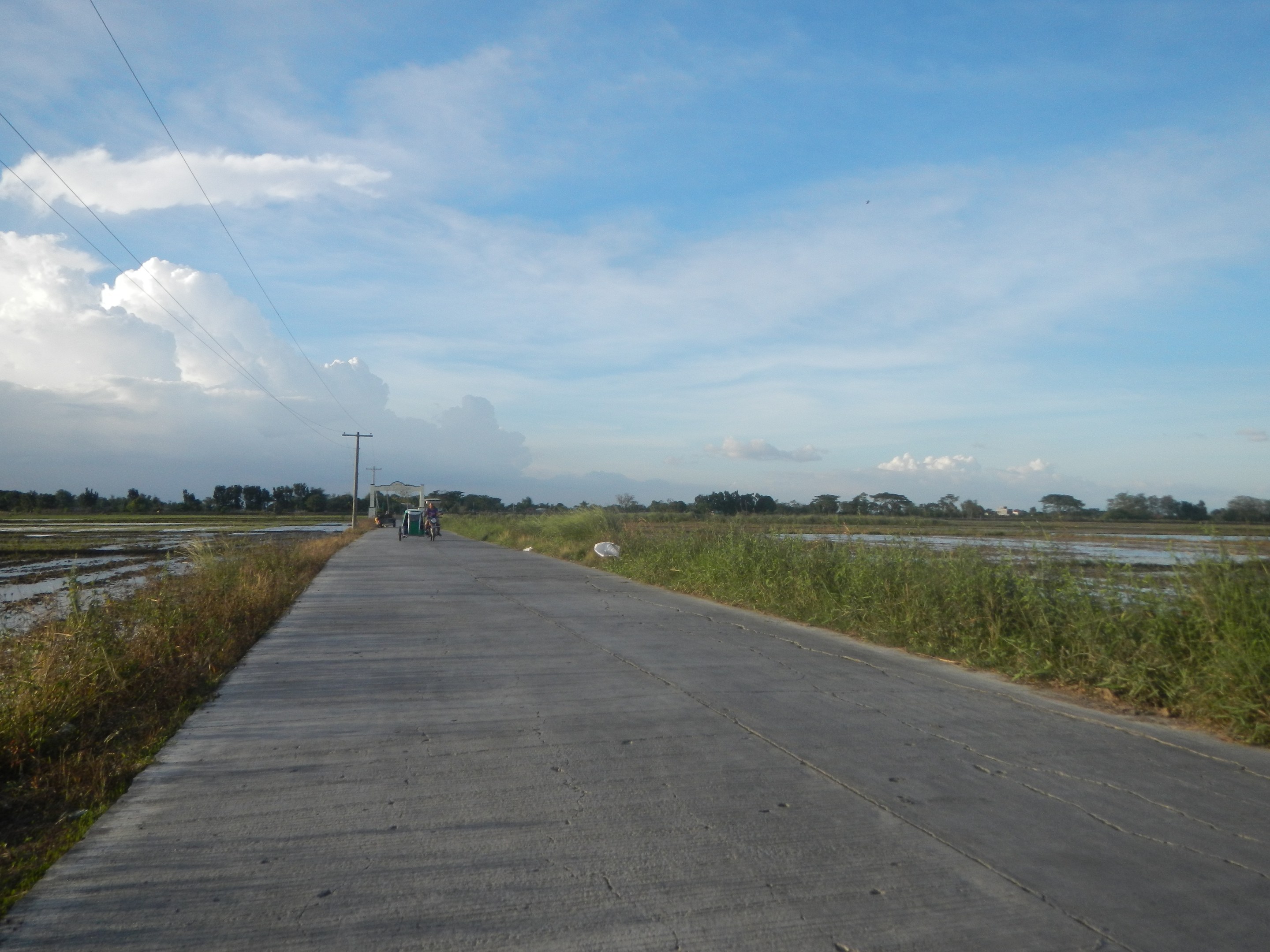 Eine asphaltierte Straße schlängelt sich durch ein grünes Feld mit Fahrradfahrern, gesäumt von Pflanzen und Gras, und führt zu einem Gewässer, Bäumen und einem bewölkten Himmel.