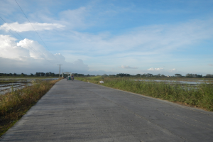 Eine asphaltierte Straße schlängelt sich durch ein grünes Feld mit Fahrradfahrern, gesäumt von Pflanzen und Gras, und führt zu einem Gewässer, Bäumen und einem bewölkten Himmel.